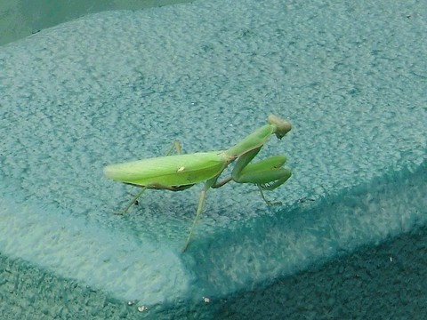 ご・め・ん・ね