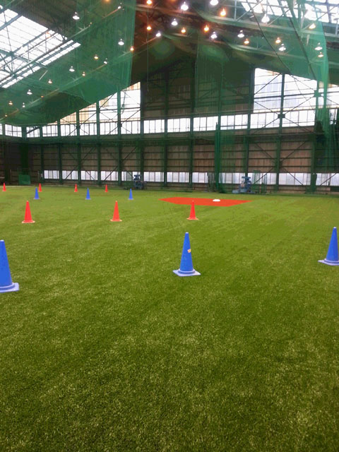 人工芝がリニューアル☆