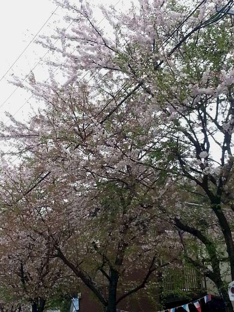 今週も頑張ろう。