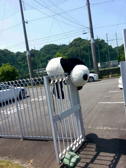 パンダ干されてた。