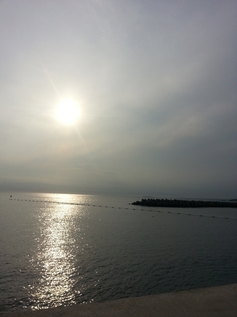 今日はゆっくり休ませてもらった！