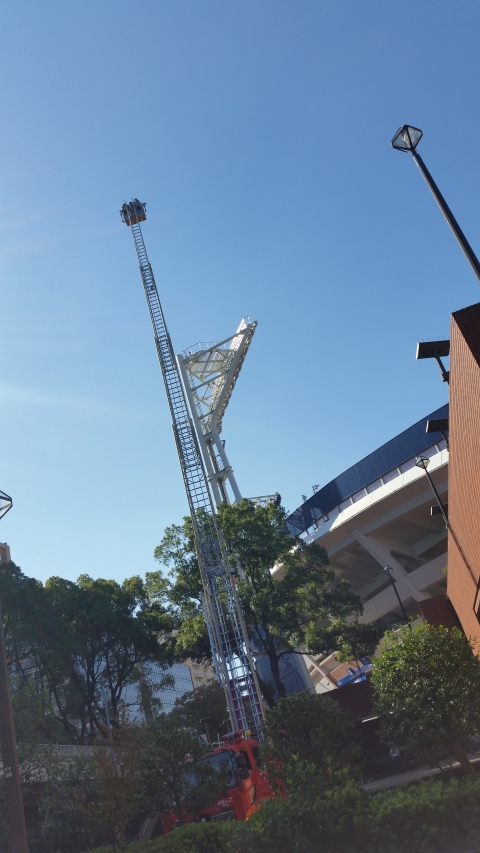 比べもんにならんな