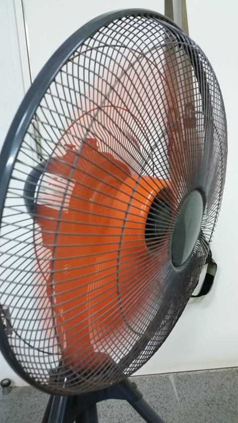 こんな顔できる？