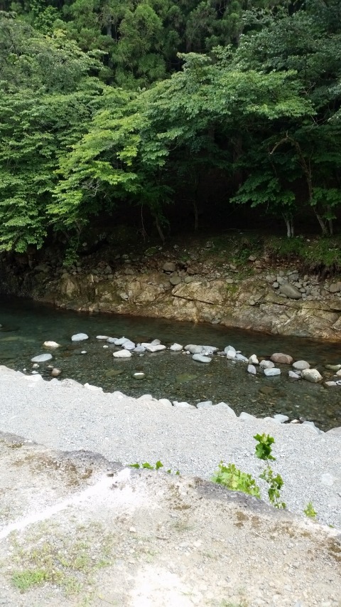 川に遊びに行ってきた