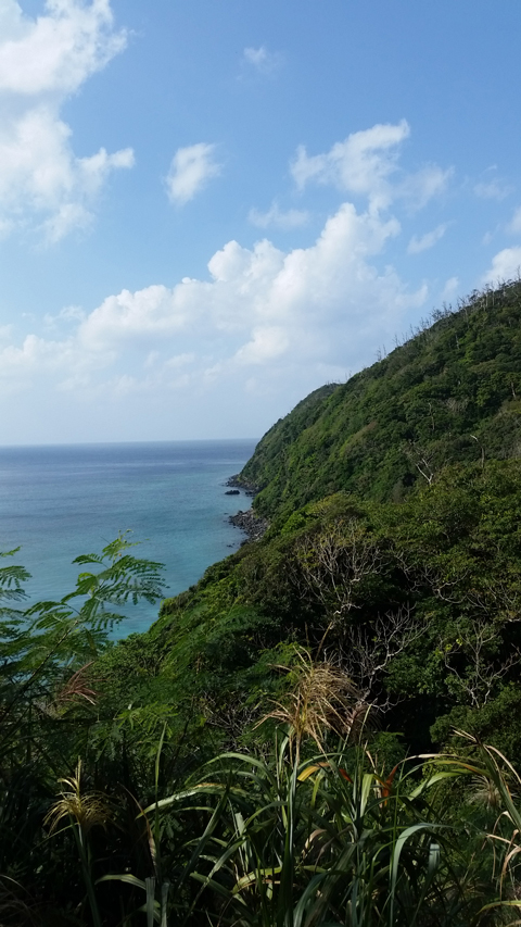 坪井コーチとデート