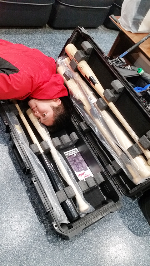 アメリカ産のバットケース。