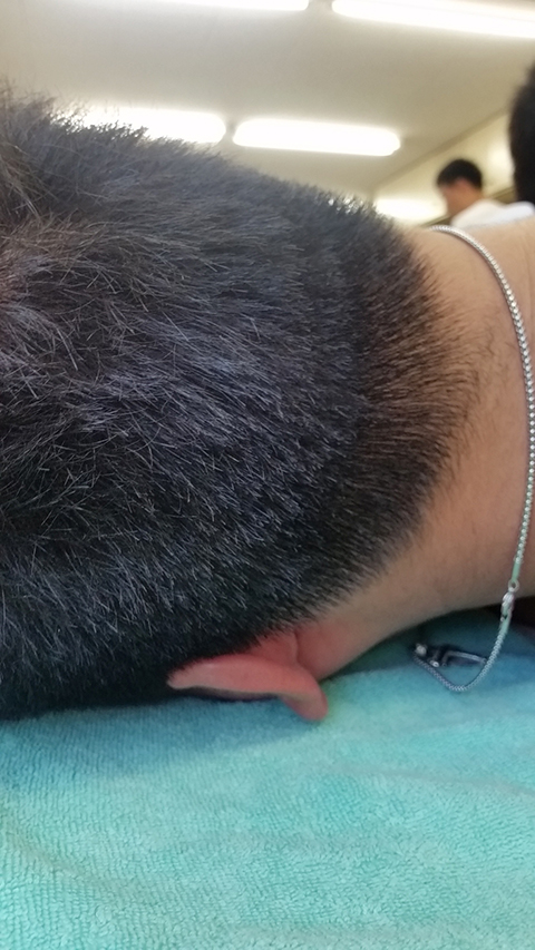 さぁ～だれだ。