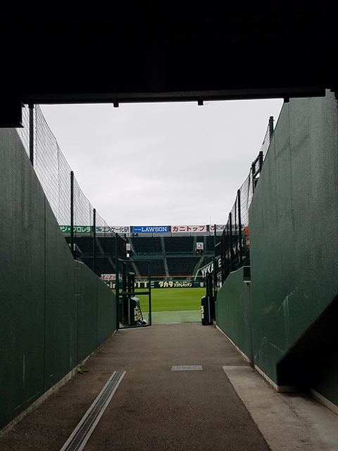 状態よさそうやん（笑）