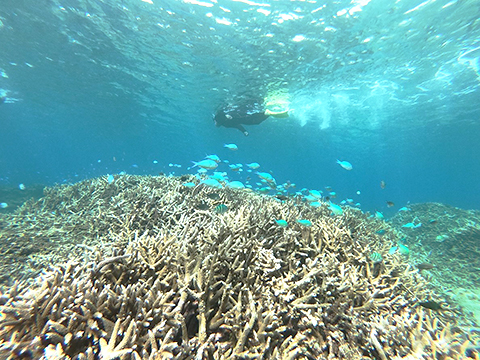 最後のやすみ。