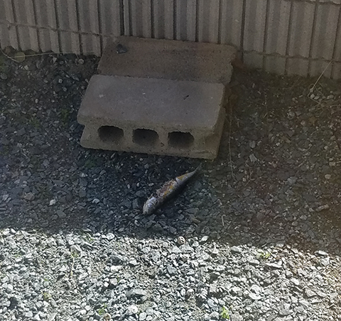 カーテンを開けると