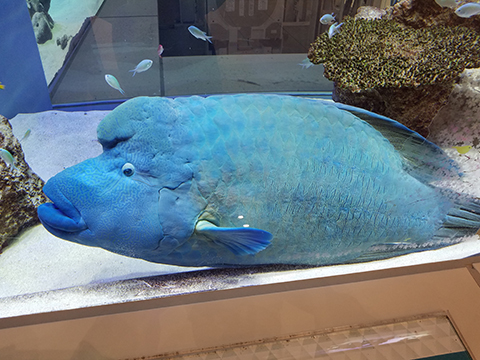 なんとなく。。。