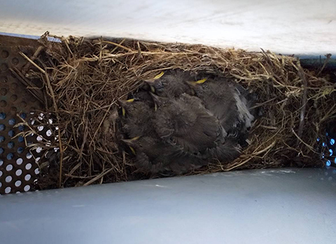 連絡が来ました