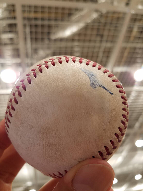 8月に入りました