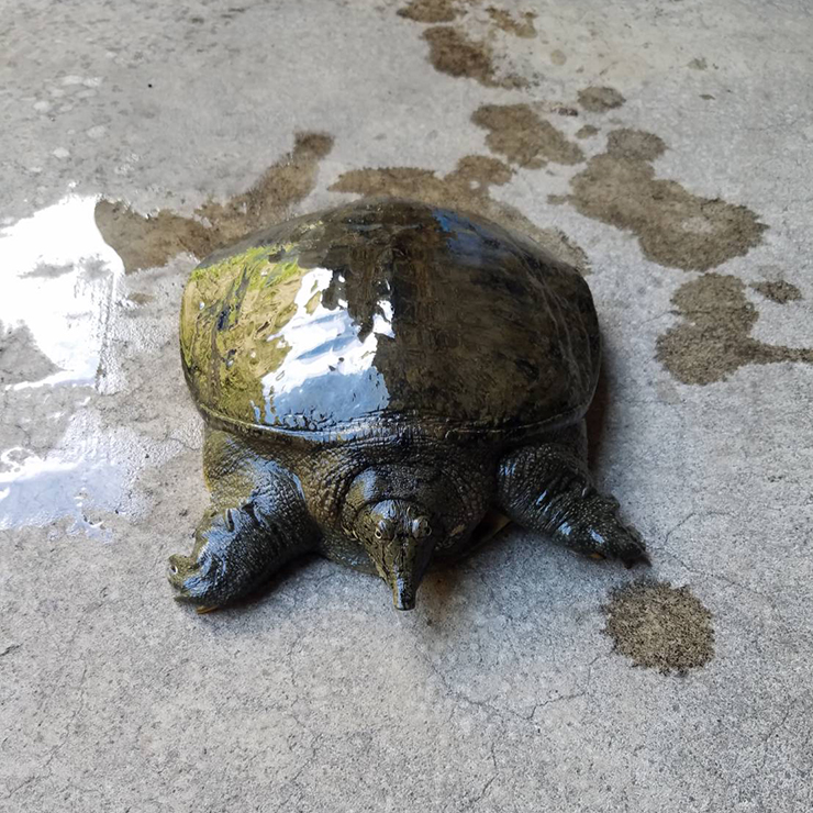 なんとなんと！