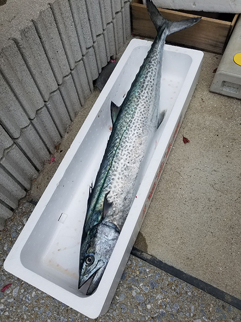 今度行ってみて～