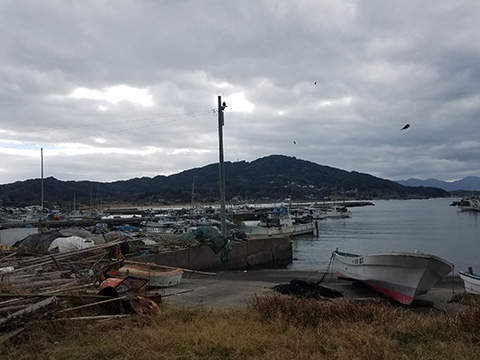 きょうも天気は良さそう