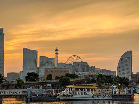 もう少しの辛抱