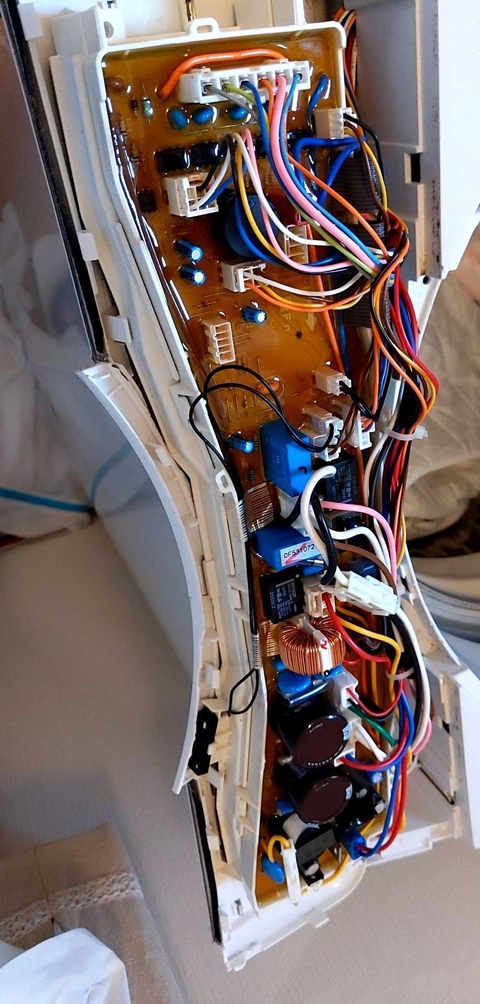 今年一、嬉しい出来事