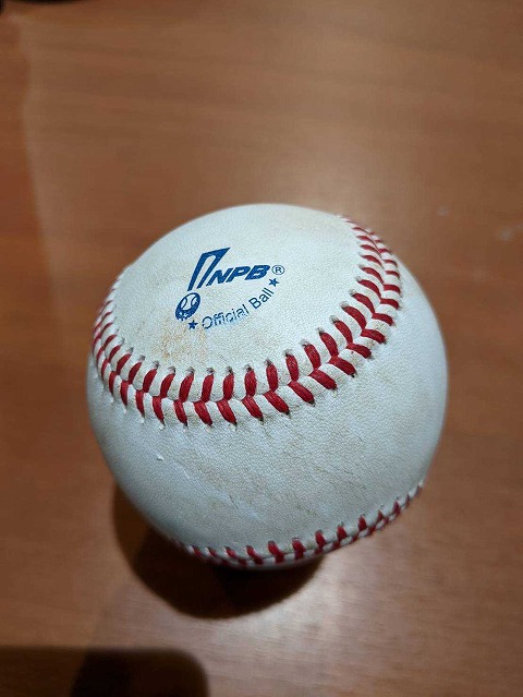 もう11月です。