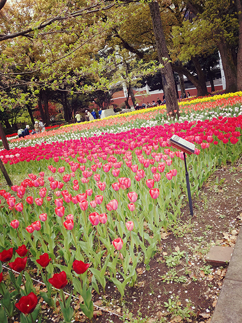 癒やされよ(・∀・)