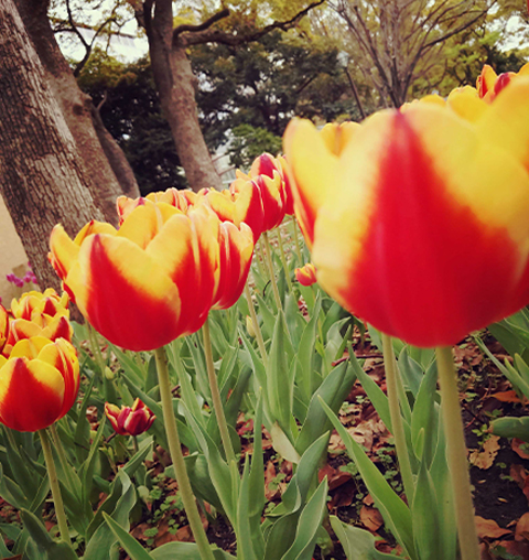 3カード勝ち越し