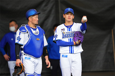 福岡のハマっ子