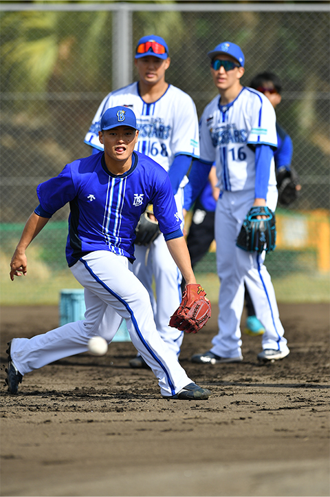 三浦の銀ちゃん