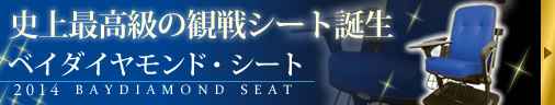 ベイダイヤモンド・シート