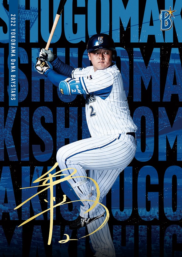 横浜denaベイスターズファンクラブ会員 バッジコレクション Www Vetrepro Fr