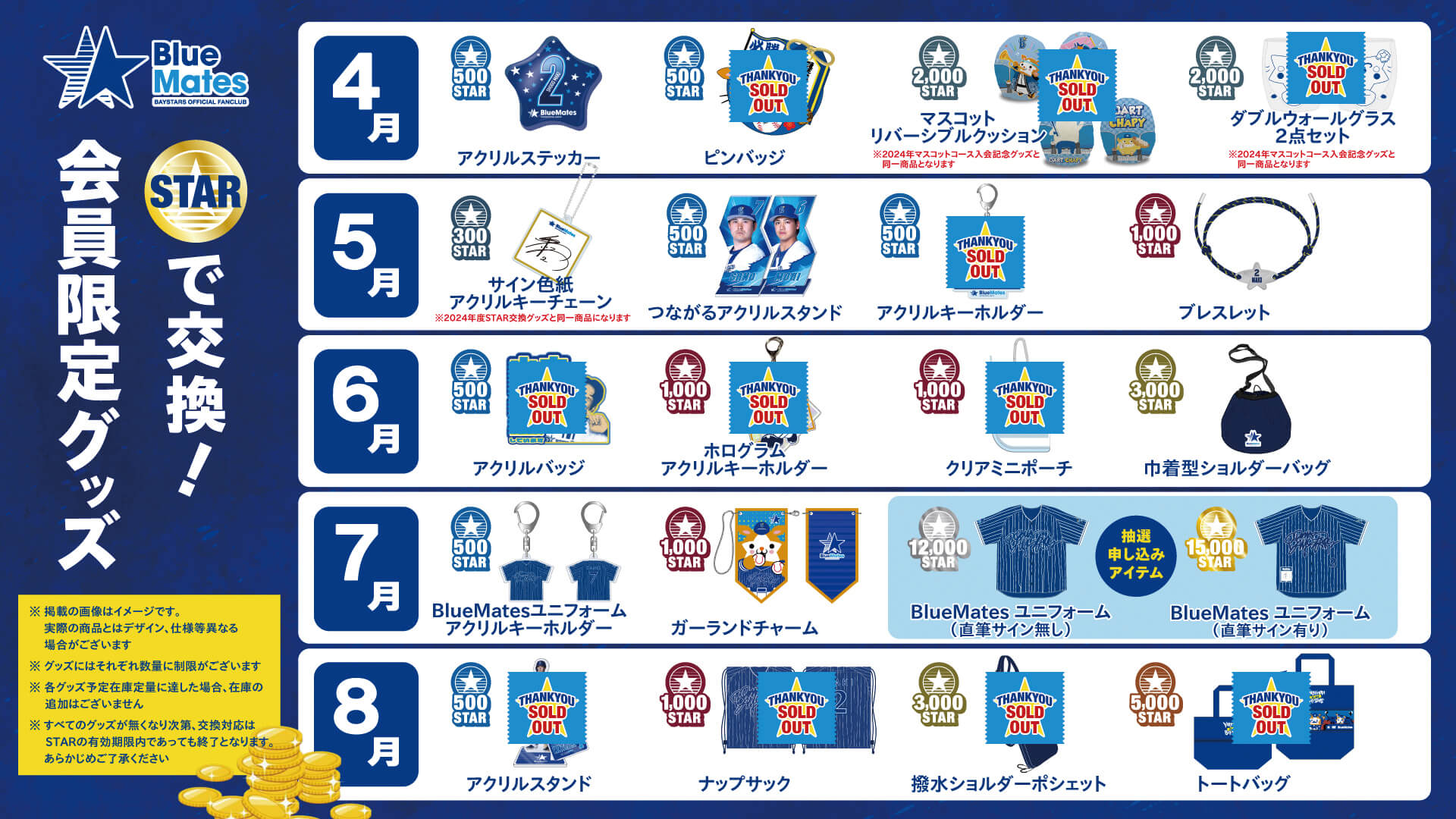 2024横浜ベイスターズ　STAR登録用紙 横浜DeNAベイスターズ BlueMates 2024シーズン STAR登録用紙