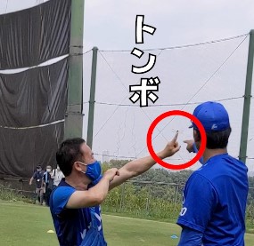 ついにトンボの季節
