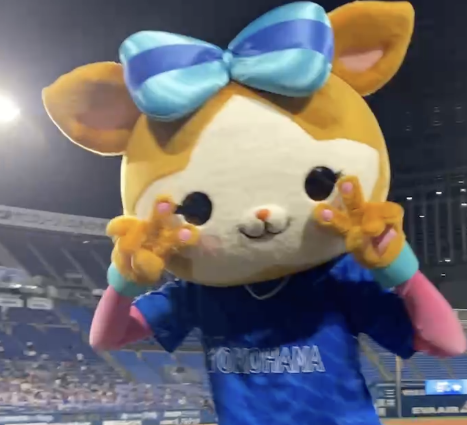 カメラに挑戦？キララちゃん！
