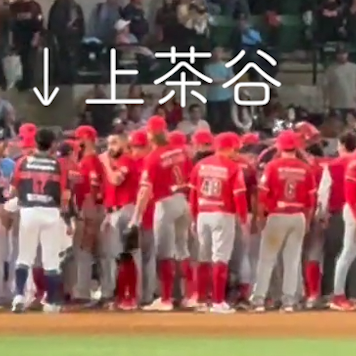 ティグレ、初乱闘