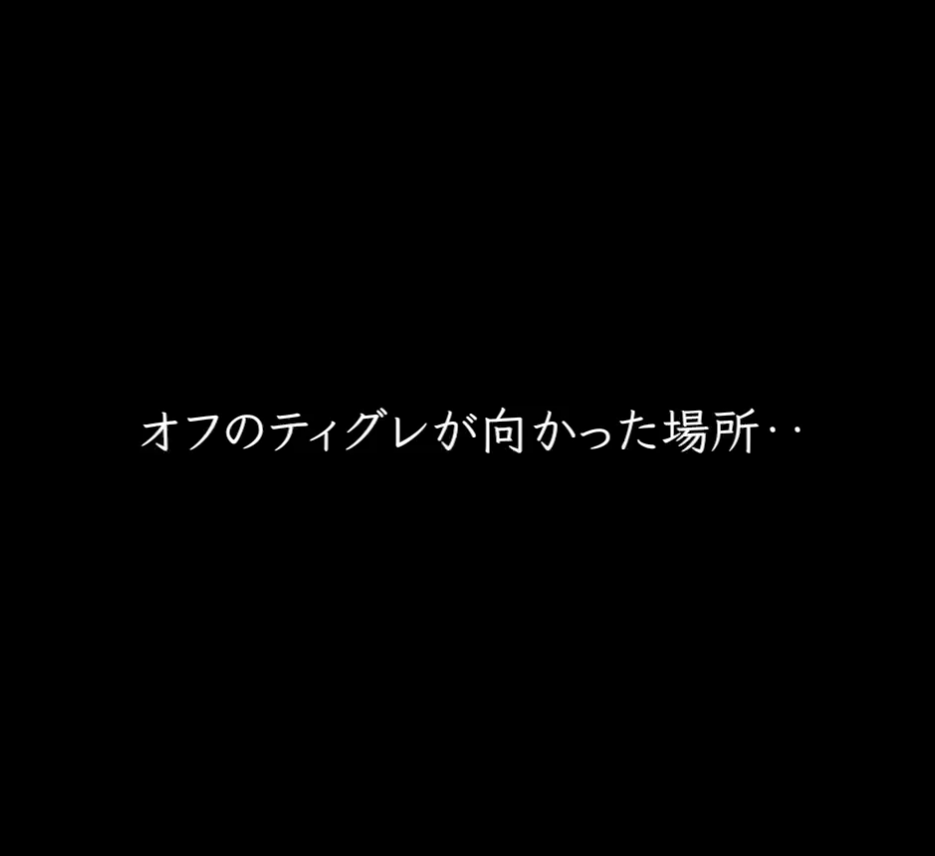 ティグレが向かった場所‥