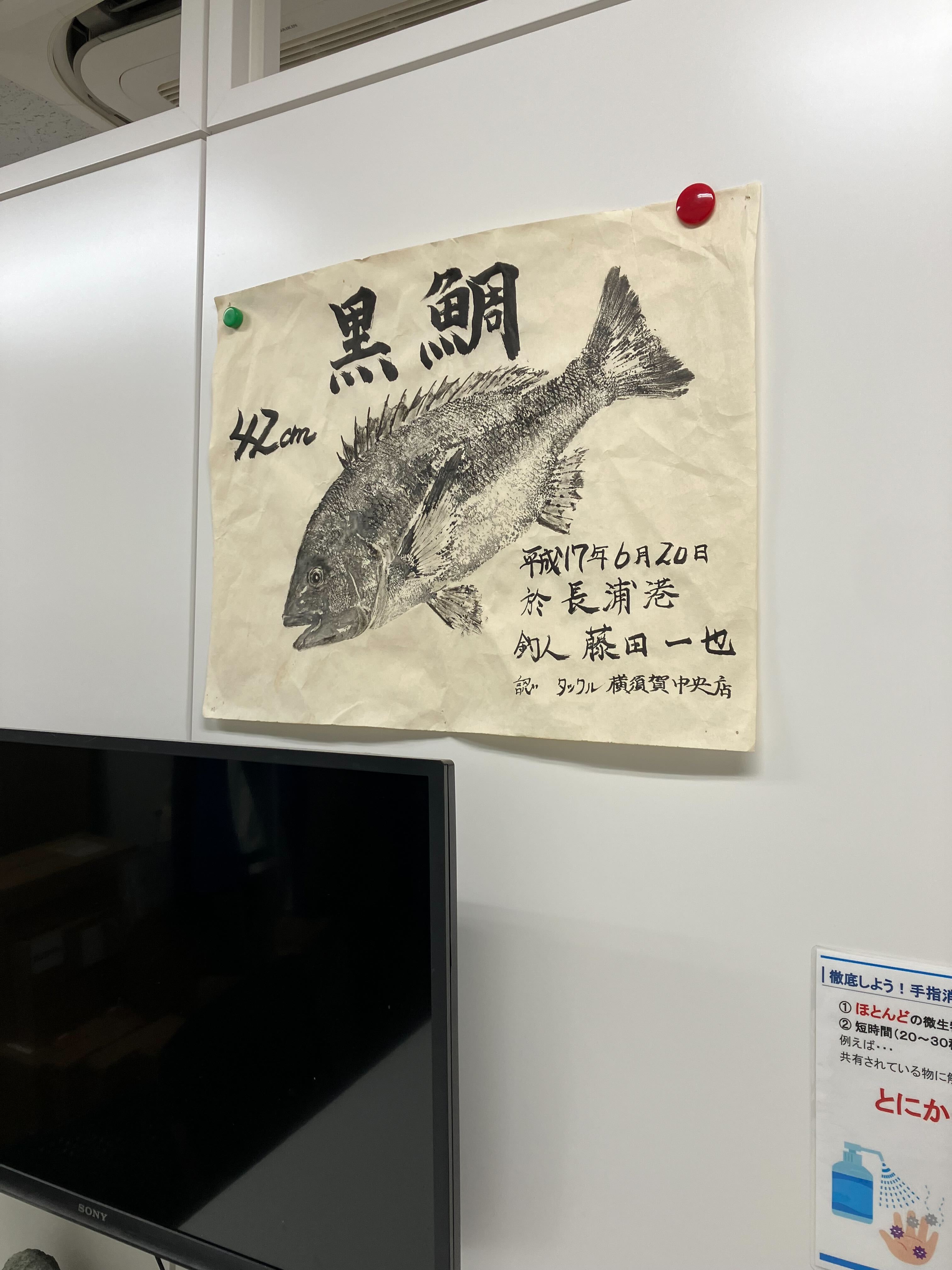 ここだけのありえそうな話