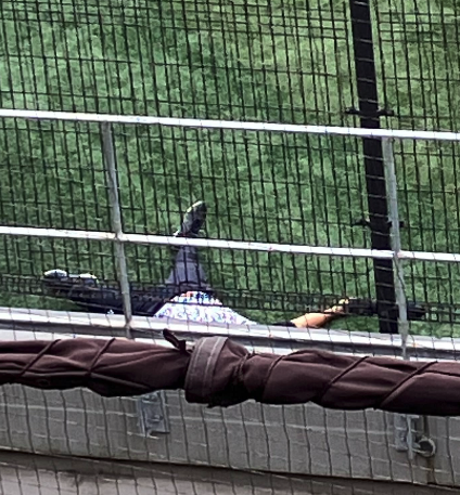 事件かっ！？？？？