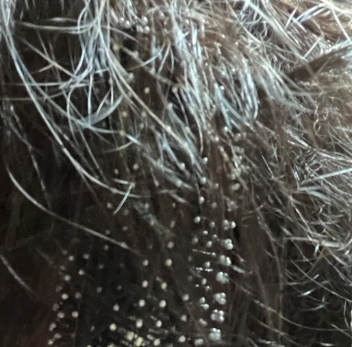 大事件。注意喚起！！