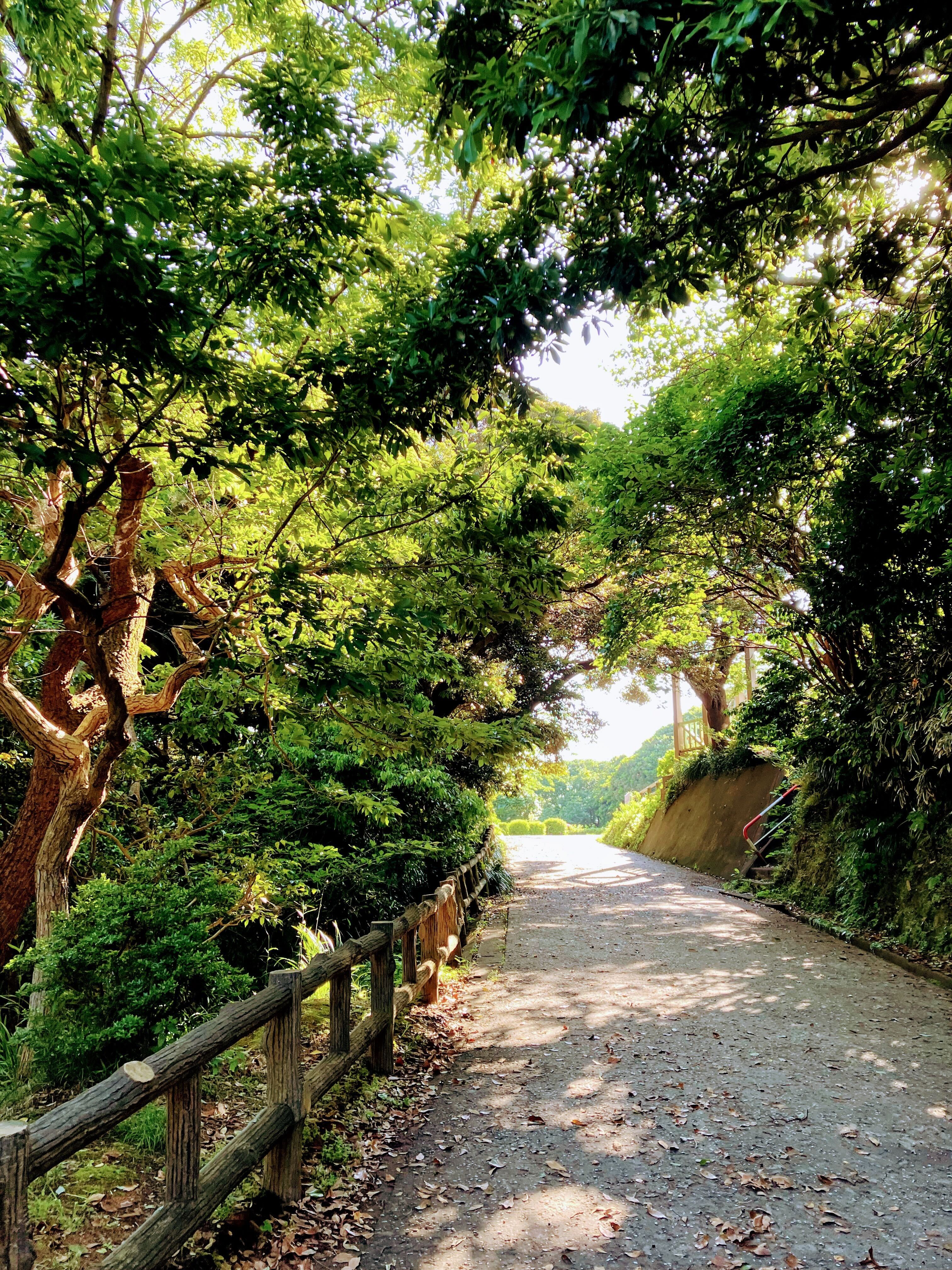 カレーとリフレッシュ