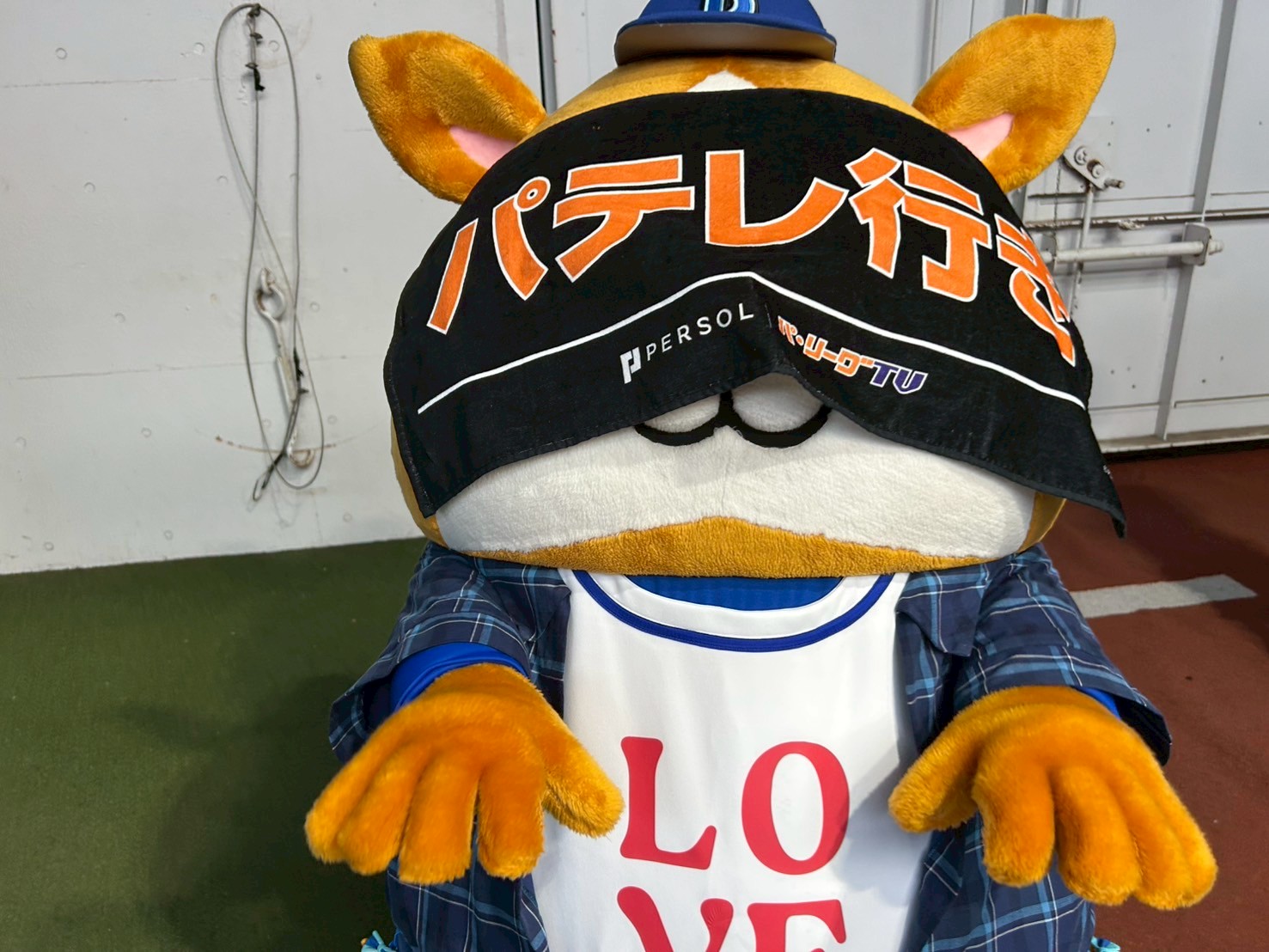 6月のオフショット③