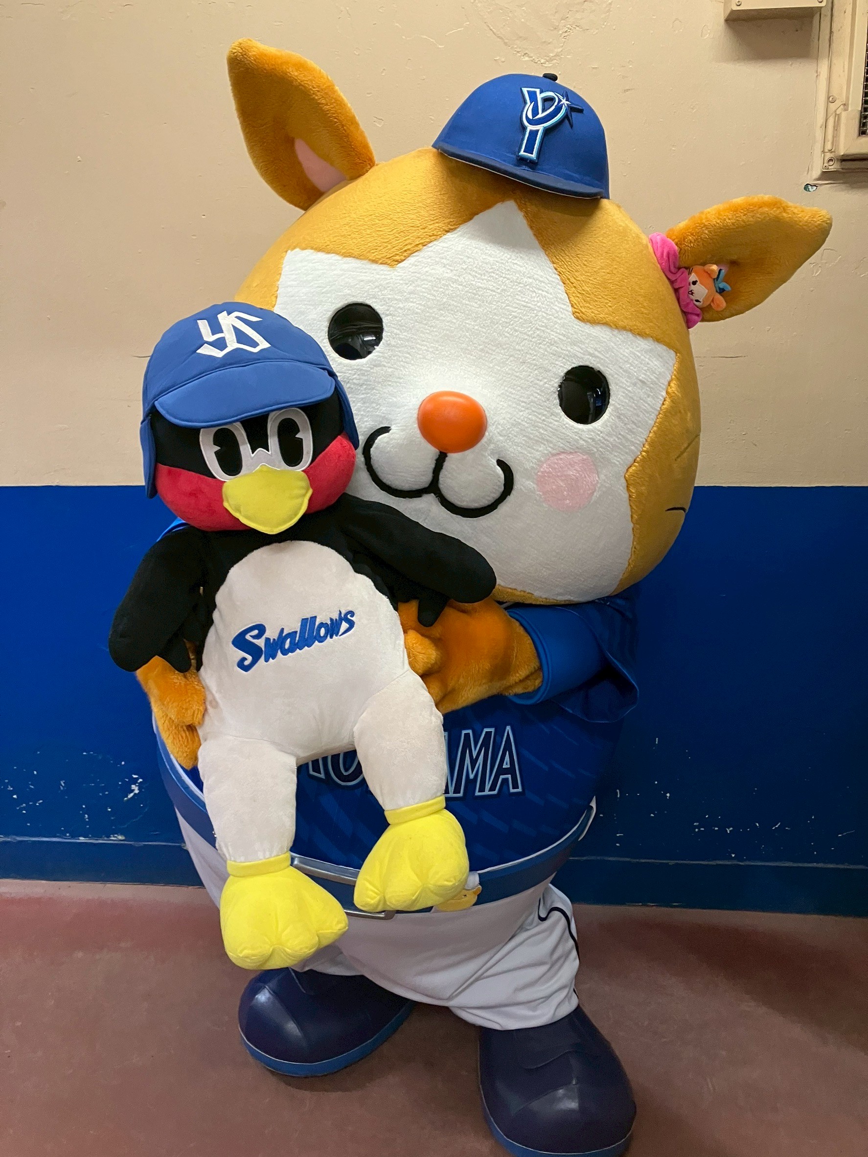 神宮遠征