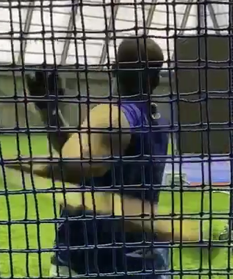 タンケ試合後に特打！
