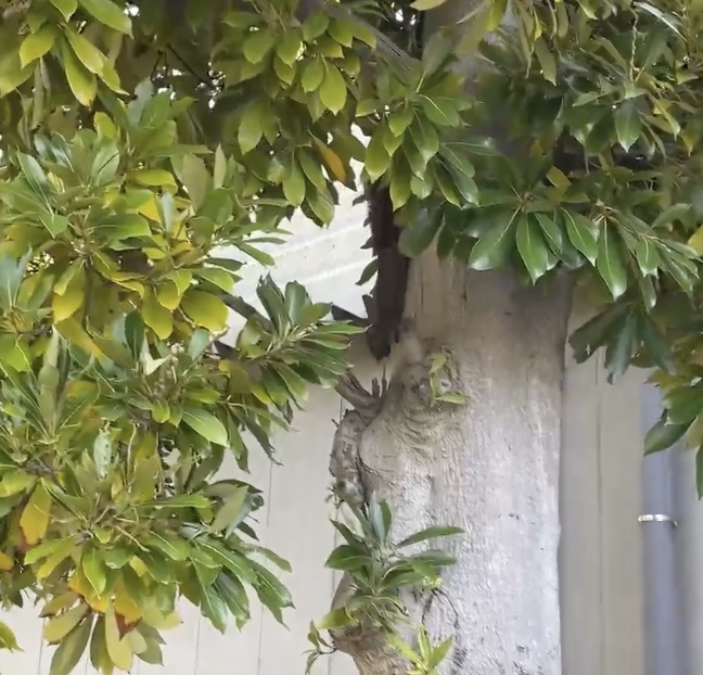 DOCKで遭遇したのは、、、&#128063;️