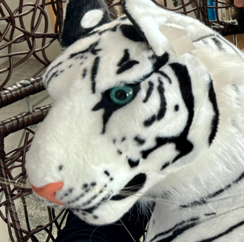 契約更改オフショット【井上 絢登選手】