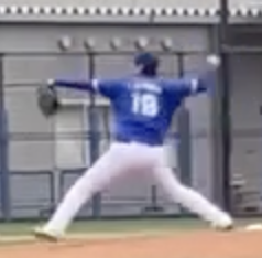 頑張れ頑張れボース