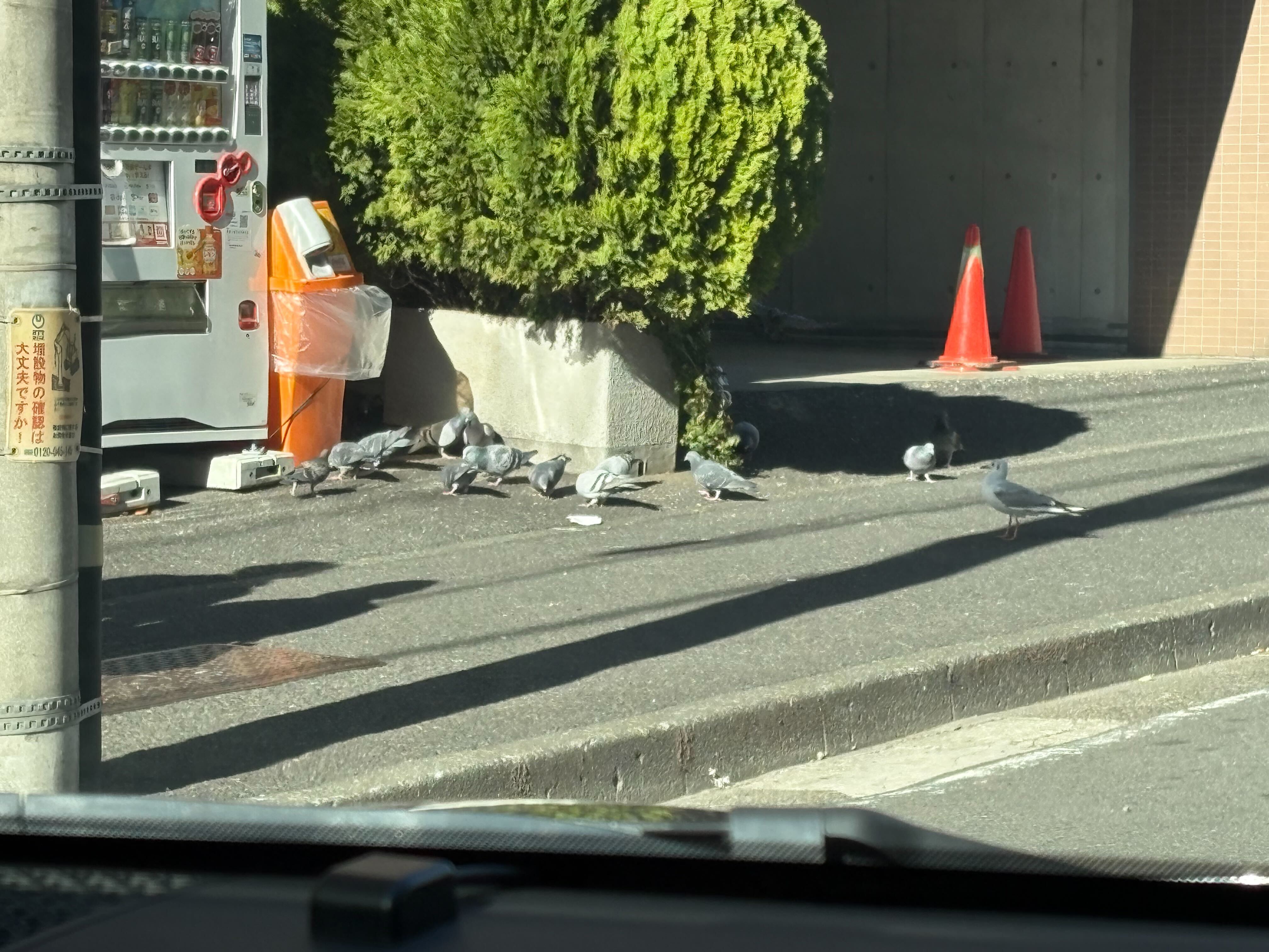 ？ここで問題。