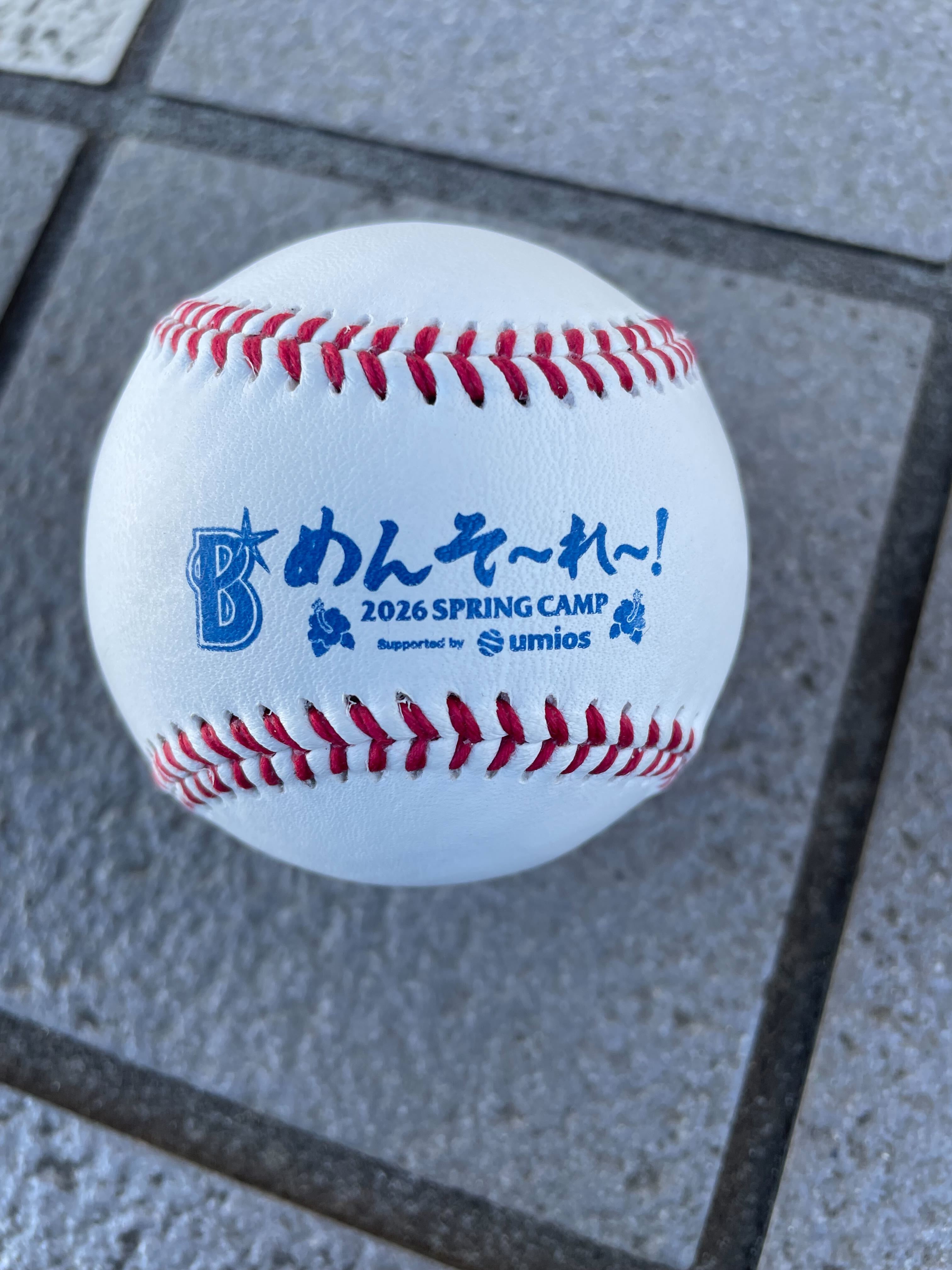 キャンプにしか存在しないめんそ〜れボール⚾️