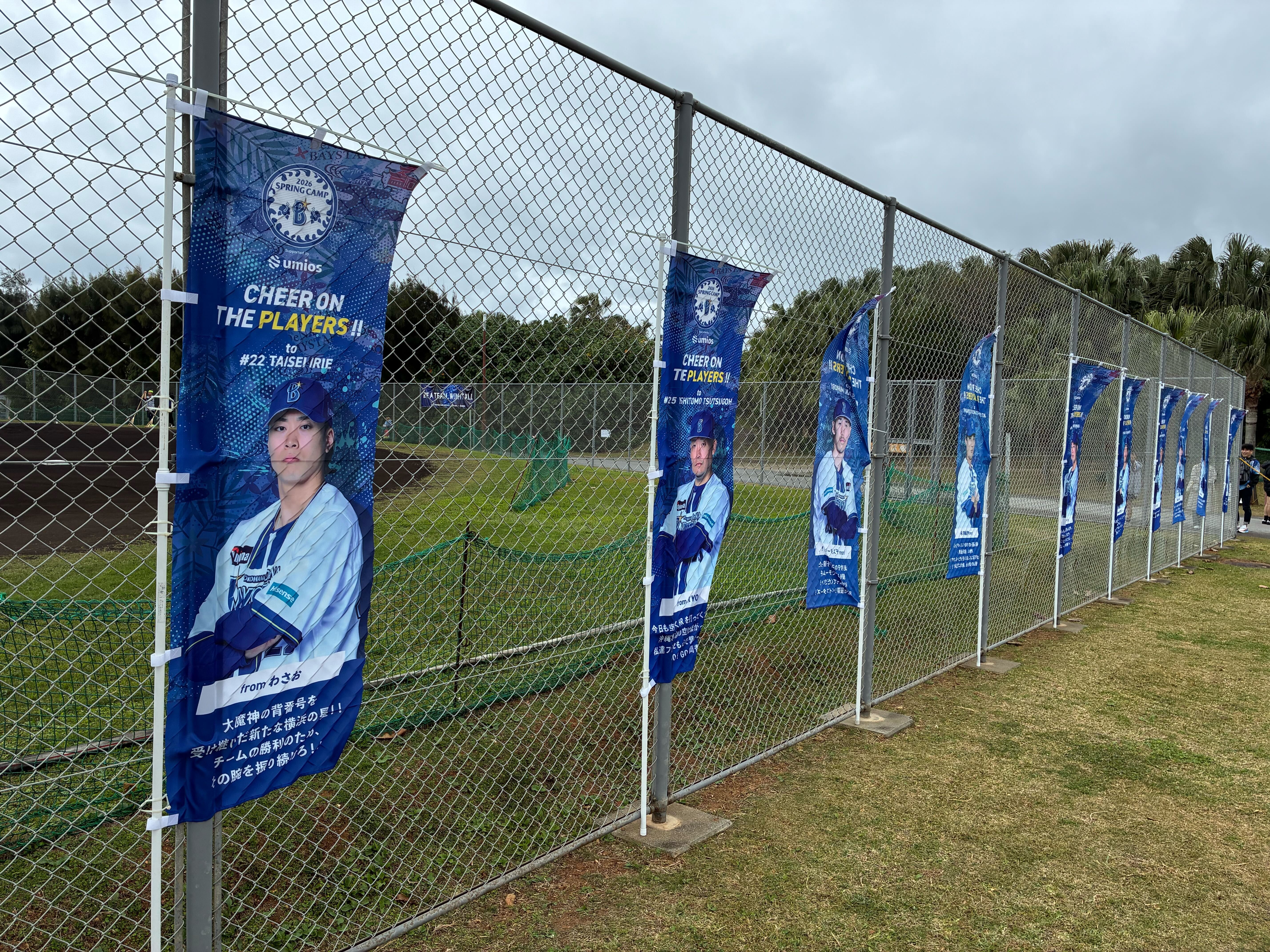 のぼりが立てられたよ！