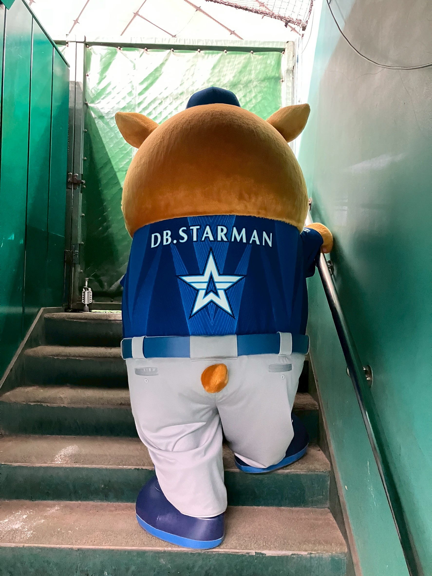 東京ドームの思い出