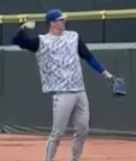 ファンサのレイノルズ