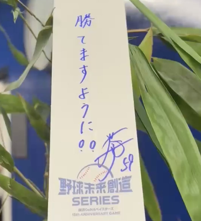 本日は七夕。